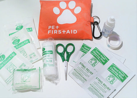 Adog First Aid Travel Kit 19 Piece with Carabiner